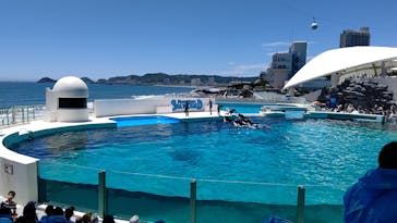 鴨川シーワールドに投稿された画像（2022/6/27）