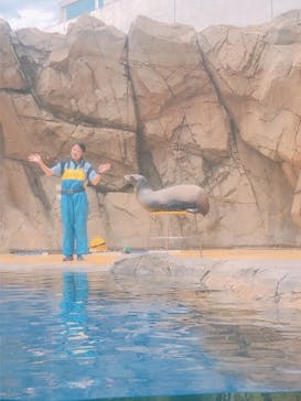 島根県立 しまね海洋館に投稿された画像（2022/6/27）