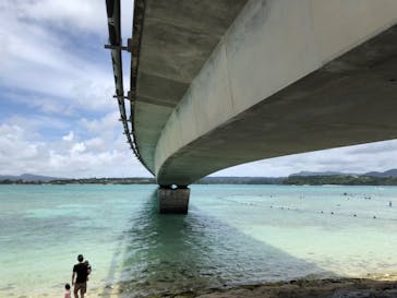 ラド観光 沖縄営業所に投稿された画像（2022/6/27）