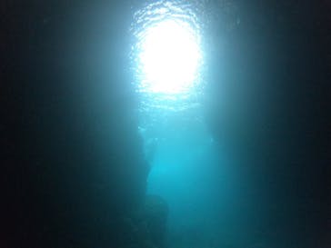 武藤潜水に投稿された画像（2022/6/27）