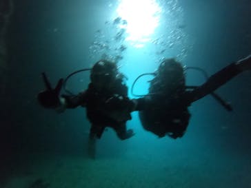 武藤潜水に投稿された画像（2022/6/27）