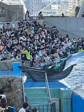 名古屋港水族館に投稿された画像（2022/6/27）