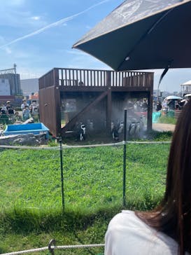 名古屋港水族館に投稿された画像（2022/6/27）