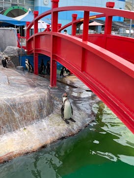 南知多ビーチランド＆南知多おもちゃ王国に投稿された画像（2022/6/27）