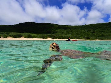 宮古島 ADVENTURE PiPi（ミヤコジマ アドベンチャー ピピ）に投稿された画像（2022/6/27）