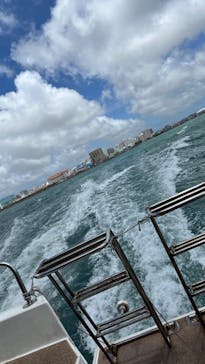 Sea World（シーワールド）に投稿された画像（2022/6/27）