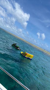 Sea World（シーワールド）に投稿された画像（2022/6/27）