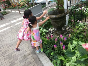 安城産業文化公園デンパークに投稿された画像（2022/6/27）