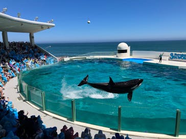 鴨川シーワールドに投稿された画像（2022/6/27）