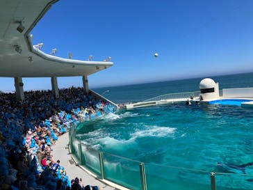 鴨川シーワールドに投稿された画像（2022/6/27）