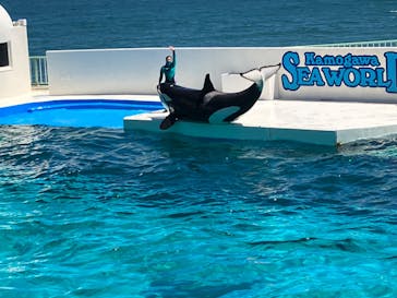 鴨川シーワールドに投稿された画像（2022/6/27）