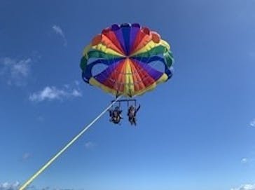 Sea World（シーワールド）に投稿された画像（2022/6/27）