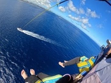 Sea World（シーワールド）に投稿された画像（2022/6/27）