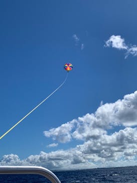 Sea World（シーワールド）に投稿された画像（2022/6/27）