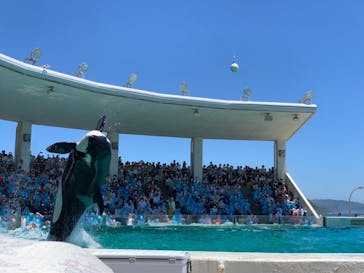 鴨川シーワールドに投稿された画像（2022/6/27）