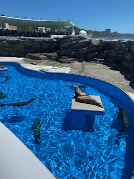 鴨川シーワールドに投稿された画像（2022/6/27）