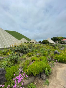 伊豆シャボテン動物公園に投稿された画像（2022/6/27）