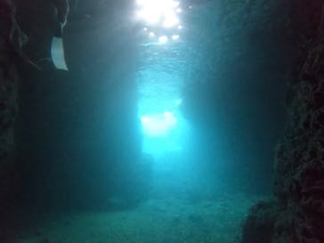 武藤潜水に投稿された画像（2022/6/28）