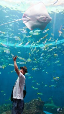 鴨川シーワールドに投稿された画像（2022/6/28）