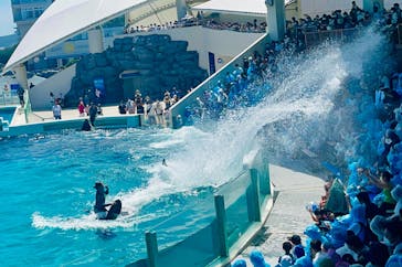 鴨川シーワールドに投稿された画像（2022/6/28）