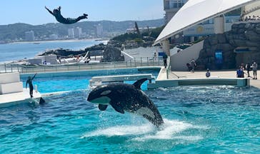 鴨川シーワールドに投稿された画像（2022/6/28）