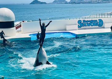 鴨川シーワールドに投稿された画像（2022/6/28）