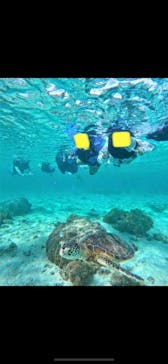 宮古島 ADVENTURE PiPi（ミヤコジマ アドベンチャー ピピ）に投稿された画像（2022/6/28）