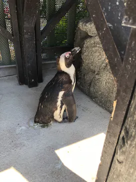 横浜・八景島シーパラダイスに投稿された画像（2022/6/28）