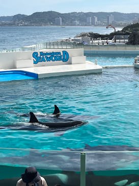 鴨川シーワールドに投稿された画像（2022/6/28）