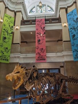 国立科学博物館　特別企画展「ポケモン化石博物館」に投稿された画像（2022/6/28）