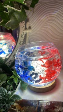 ずこうしつ〜sugamo〜に投稿された画像（2022/6/28）