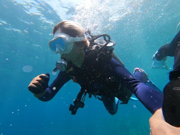 DIVING-SHOP SUNSに投稿された画像（2022/6/28）