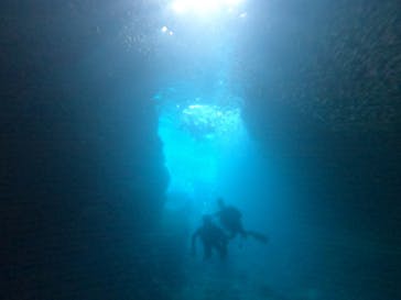 DIVING-SHOP SUNSに投稿された画像（2022/6/28）