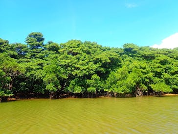 石垣島 ADVENTURE PiPi（イシガキジマアドベンチャーピピ）に投稿された画像（2022/6/28）