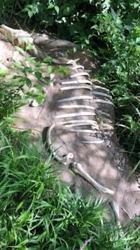 よこはま動物園ズーラシアに投稿された画像（2022/6/28）