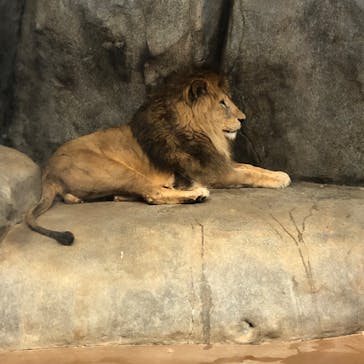 よこはま動物園ズーラシアに投稿された画像（2022/6/28）