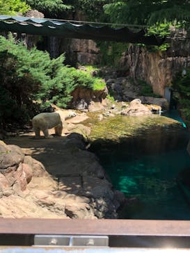 よこはま動物園ズーラシアに投稿された画像（2022/6/28）