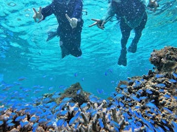 宮古島 ADVENTURE PiPi（ミヤコジマ アドベンチャー ピピ）に投稿された画像（2022/6/28）