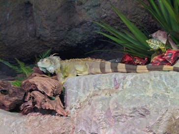 サンシャイン水族館に投稿された画像（2022/6/28）