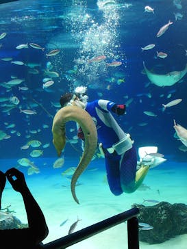 サンシャイン水族館に投稿された画像（2022/6/28）