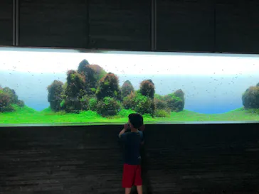 すみだ水族館に投稿された画像（2022/6/28）