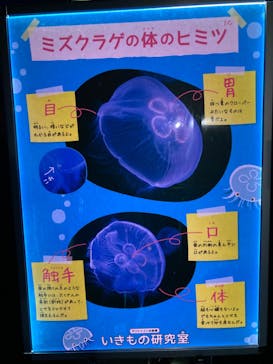 サンシャイン水族館に投稿された画像（2022/6/28）