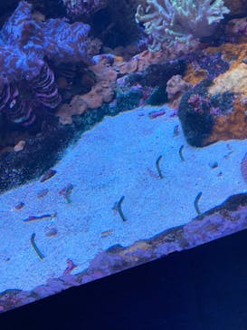 サンシャイン水族館に投稿された画像（2022/6/28）