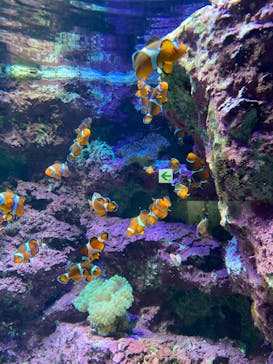 サンシャイン水族館に投稿された画像（2022/6/28）