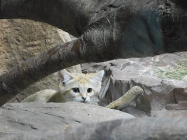 那須どうぶつ王国に投稿された画像（2022/6/28）