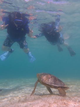 宮古島 ADVENTURE PiPi（ミヤコジマ アドベンチャー ピピ）に投稿された画像（2022/6/28）