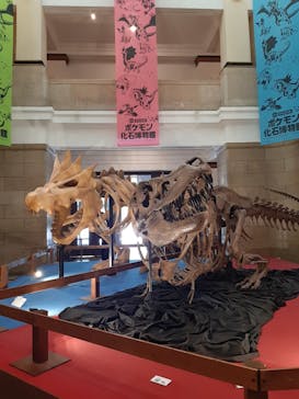 国立科学博物館に投稿された画像（2022/6/29）