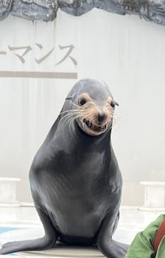 鴨川シーワールドに投稿された画像（2022/6/29）