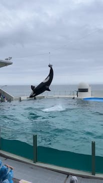 鴨川シーワールドに投稿された画像（2022/6/29）