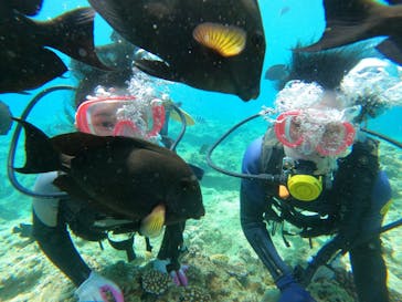 武藤潜水に投稿された画像（2022/6/29）